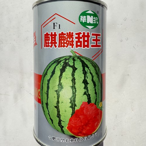 麒麟甜王超甜西瓜种子早熟高产四季播种优质西瓜种籽超大果耐运输