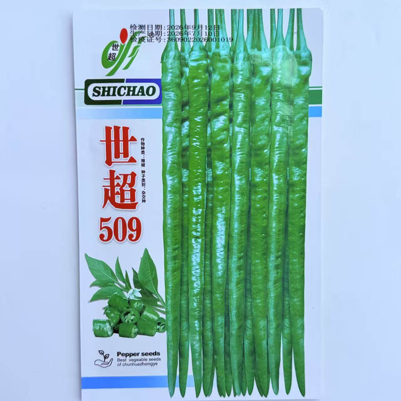 世超509长线椒种子早中熟辣椒种籽味香辣春秋露地栽培抗病性好