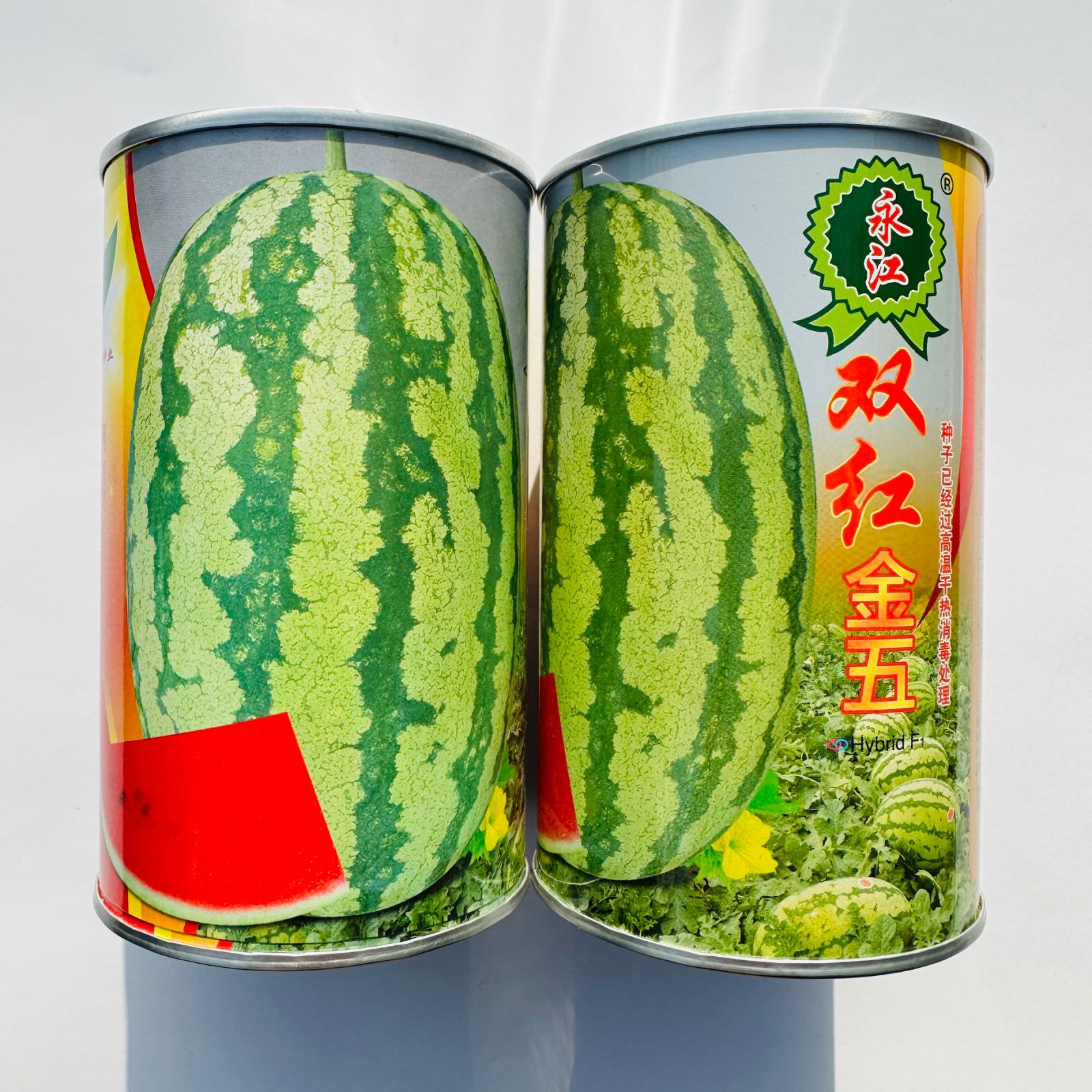 永江双红金五西瓜种子80克装约710粒瓜椭圆形耐重茬双红瓤大果瓜