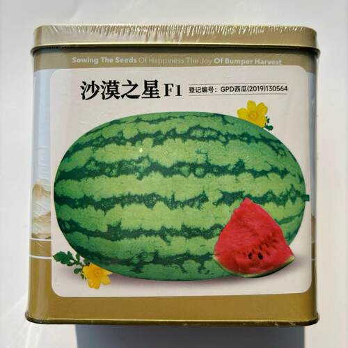 神禾 沙漠之星 西瓜种子 甜脆大果高产抗病耐重茬 农家春季播精选