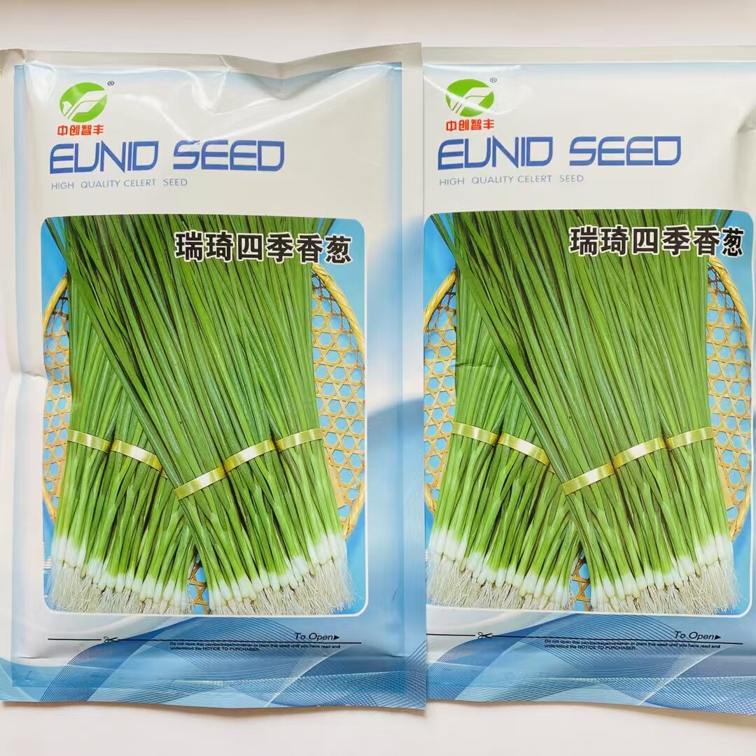 中创智丰瑞琦四季香葱种子青葱种子小葱种子青葱种子深绿小葱种籽