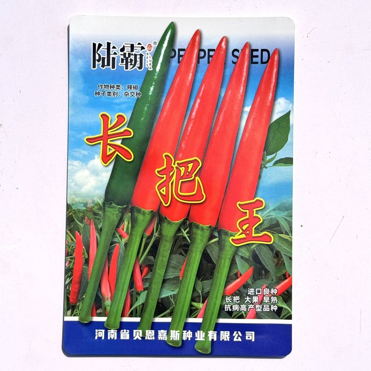 陆霸长把王大果朝天椒种子硬果抗病中早熟辣椒种籽高抗炭蛆烂果病