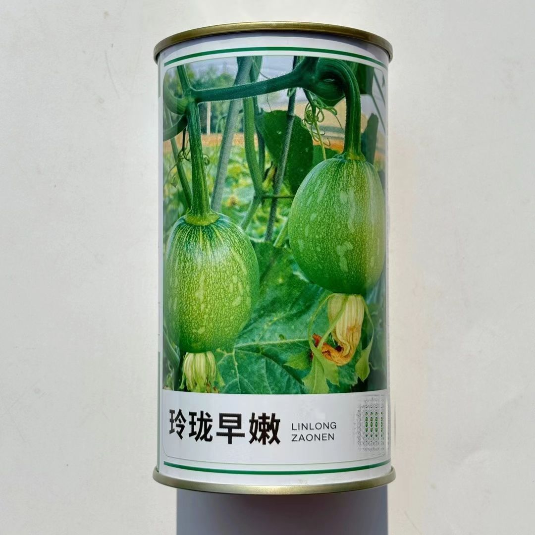 嫩早花皮王南瓜种子花皮一串铃南瓜种孑早熟脆嫩南瓜小菜南瓜种籽