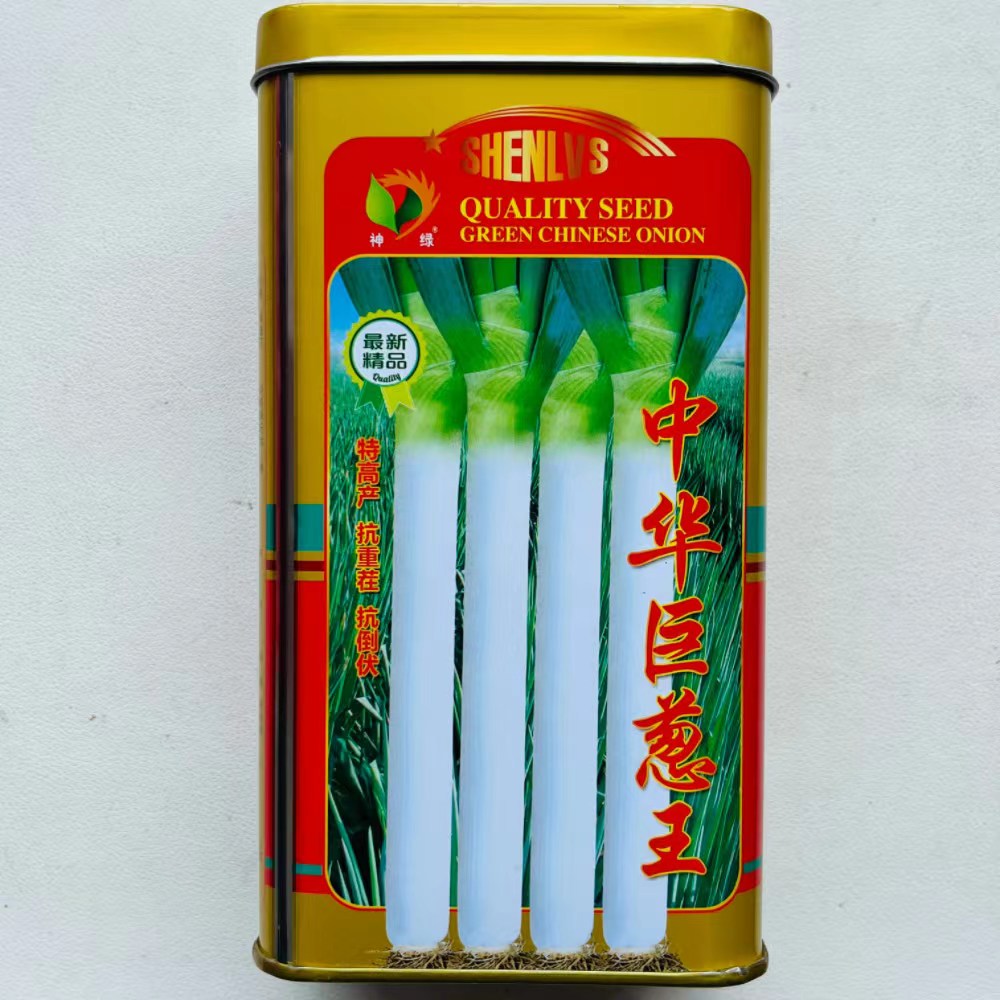 中华巨葱王大葱种子铁杆型章丘大香葱耐热抗寒春季秋冬季铁杆四季