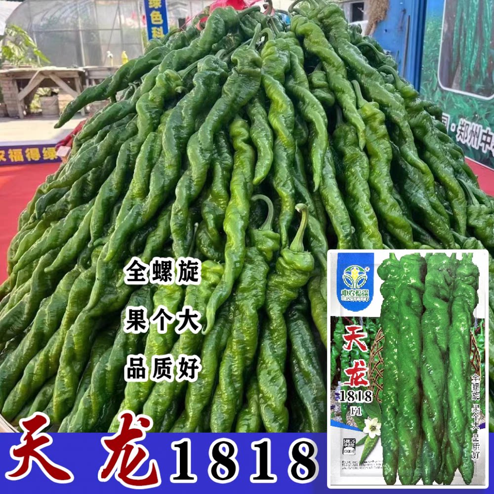 中农福得天龙1818全螺旋大果麻