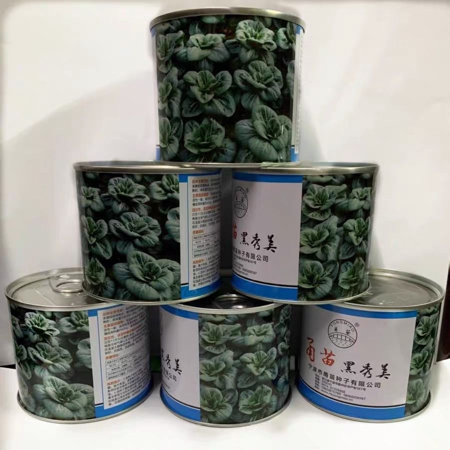 甬苗黑秀美杂交黑叶苏州青矮梗束腰黑叶青菜种籽黑菜软糯好吃青菜