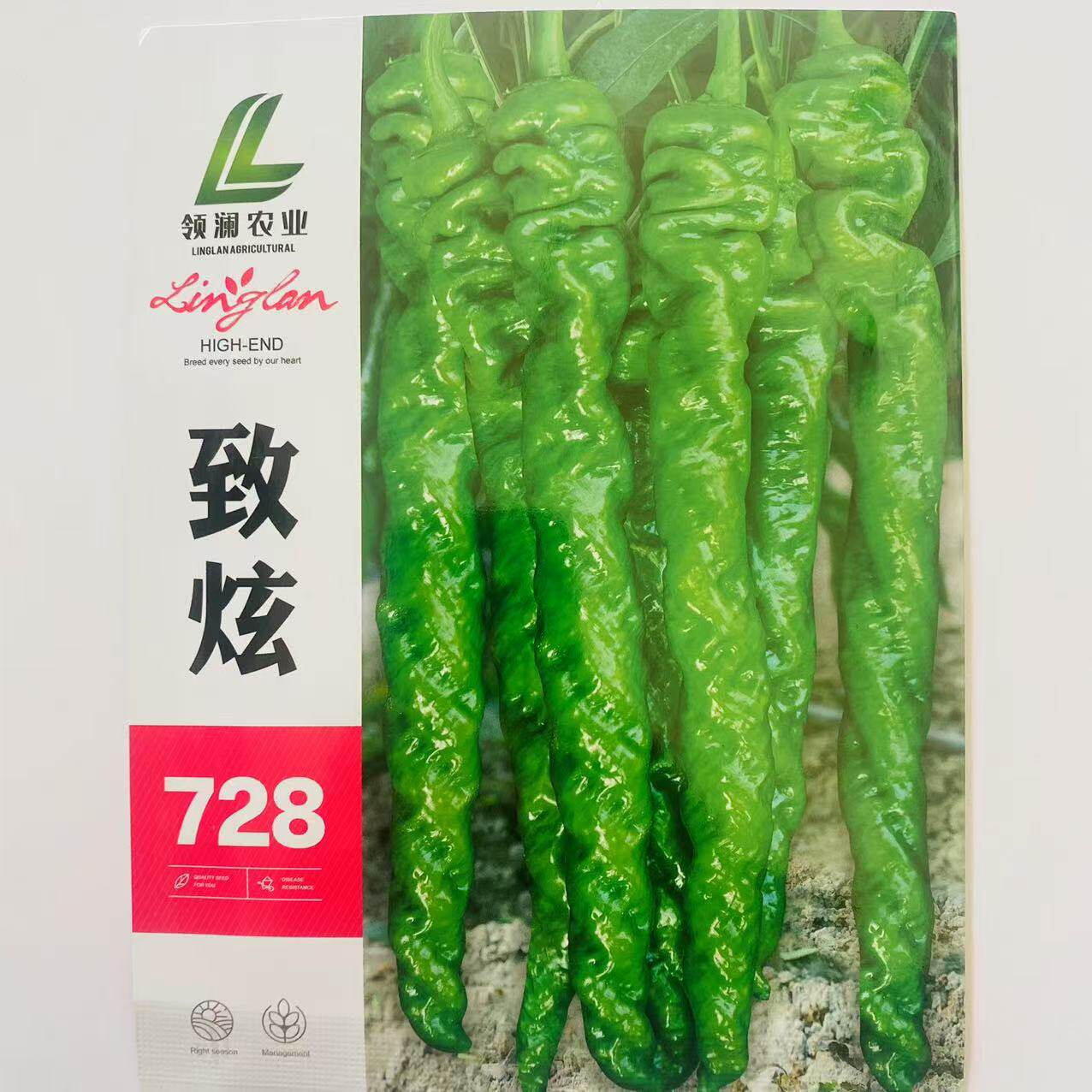 致炫728辣椒种子辣椒种籽薄皮特辣螺丝椒种子四季播阳台盆栽辣椒