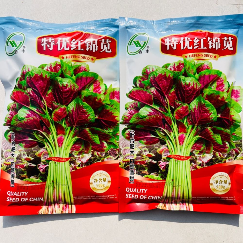 特优红锦苋花红苋菜种子口感耐热甜嫩叶片肥大高产抗病商品性春播