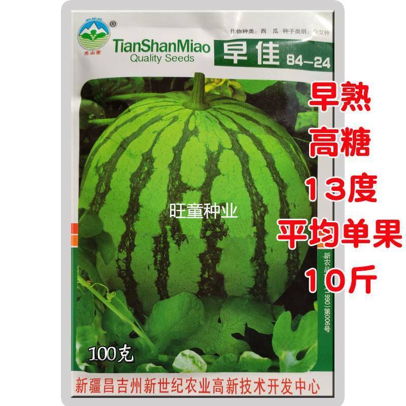 新疆早佳8424西瓜种子红瓤高糖13度肉质细嫩西瓜种籽孑100g基地用