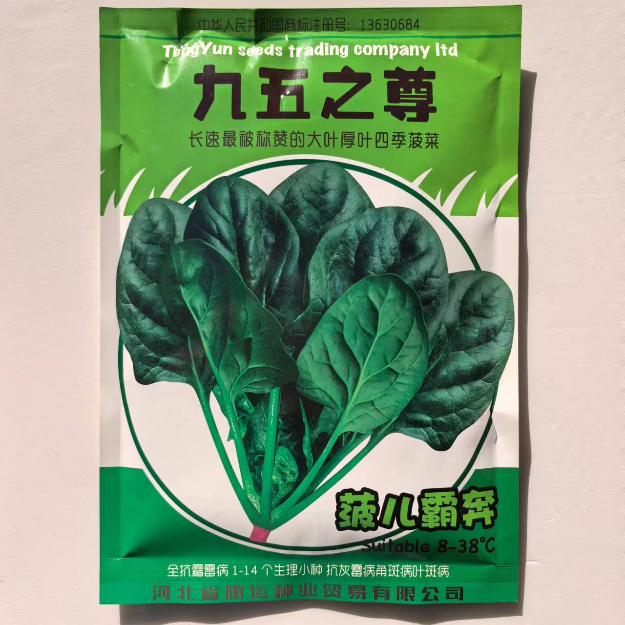 腾运九五之尊菠菜种子300克