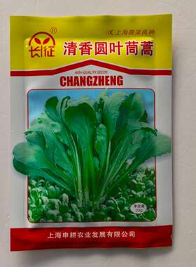 长征清香圆叶茼蒿种子叶面光滑深绿色叶片肥厚茎杆粗壮柔嫩清香味