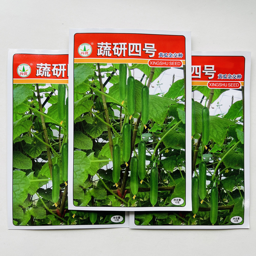 湖南 蔬研四号水果黄瓜种子 口感好全雌光滑早熟高产商品佳春秋播