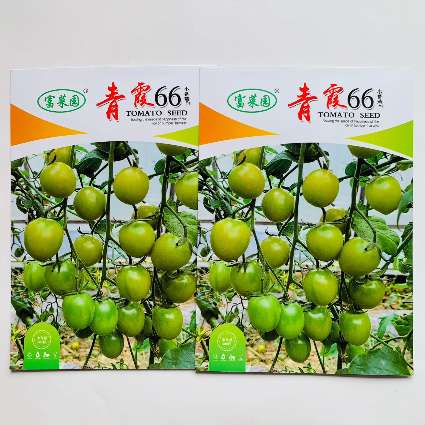 青霞66绿色小番茄种子口感好高糖度水果小柿子种籽早熟青口蜜