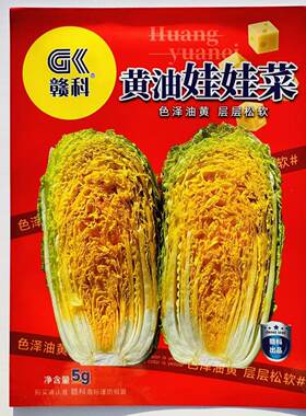 赣科黄油娃娃菜种子黄心娃娃菜精选早熟娃娃菜种籽大白菜种子