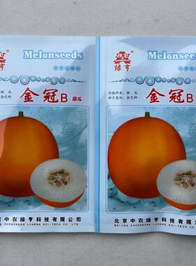 金冠B甜瓜种子果肉乳白色香甜果皮橙黄色香瓜中熟甜瓜中籽