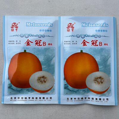 金冠B甜瓜种子果肉乳白色香甜果皮橙黄色香瓜中熟甜瓜中籽