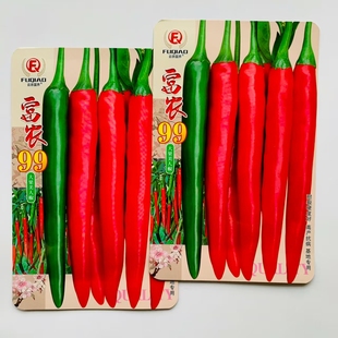 新品种富农99大果美人椒种子红尖椒种子耐裂红果辣椒种子高产春秋