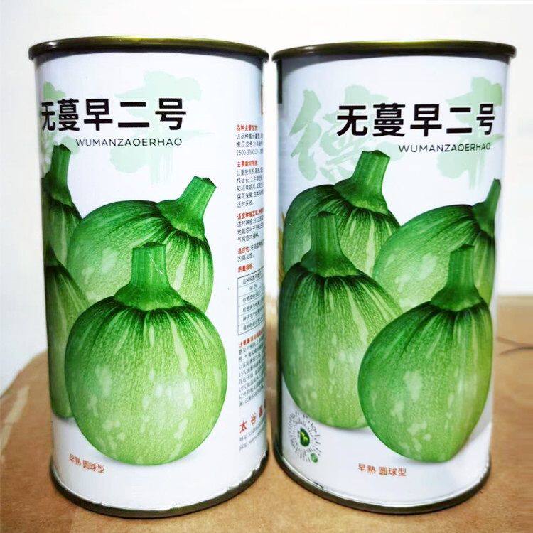 无蔓早二号南瓜种子早熟圆球型嫩南瓜种子无藤短蔓菜南瓜嫩瓜种子