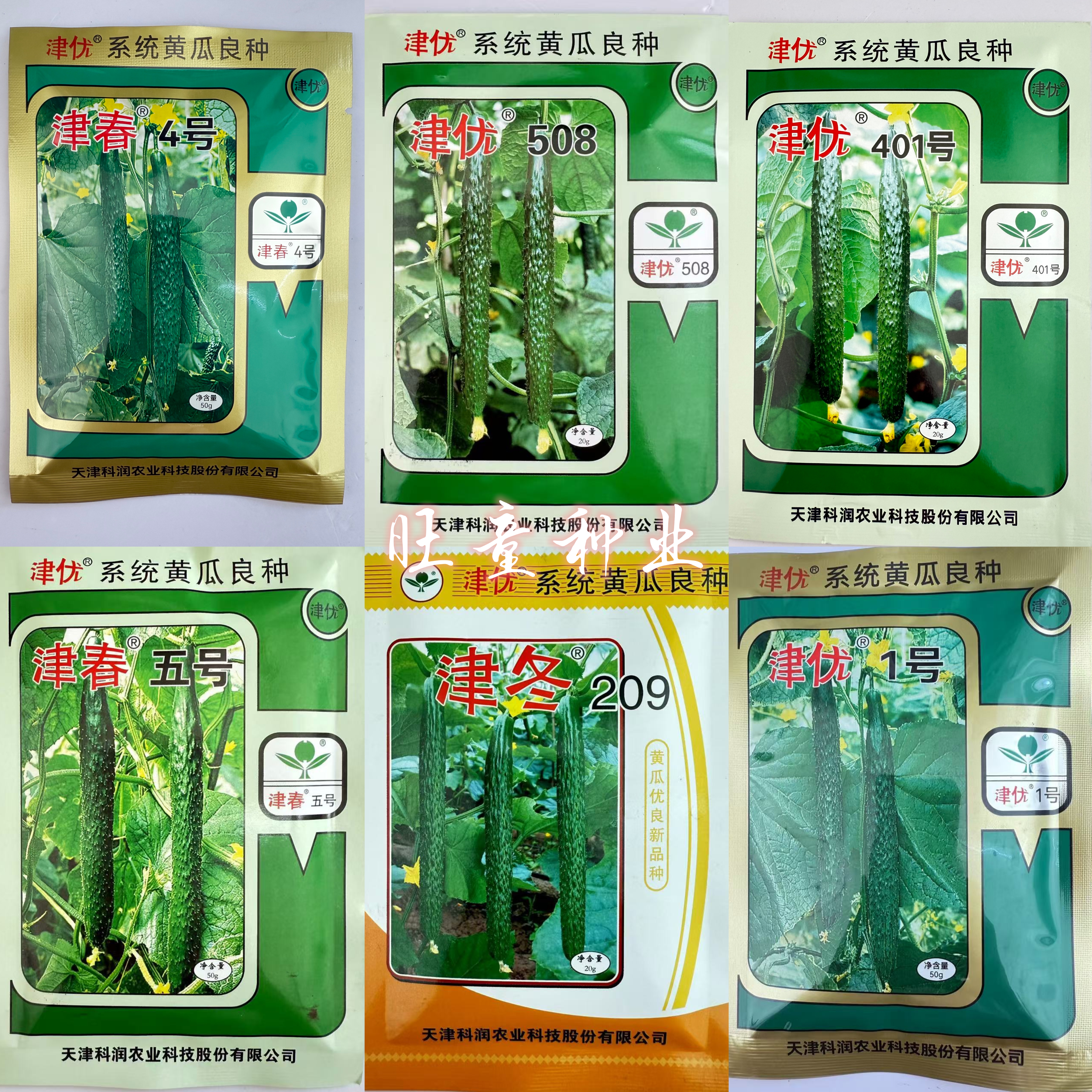 津优1号津春4号津春五号津优508津优401津冬209青皮黄瓜蔬菜种子