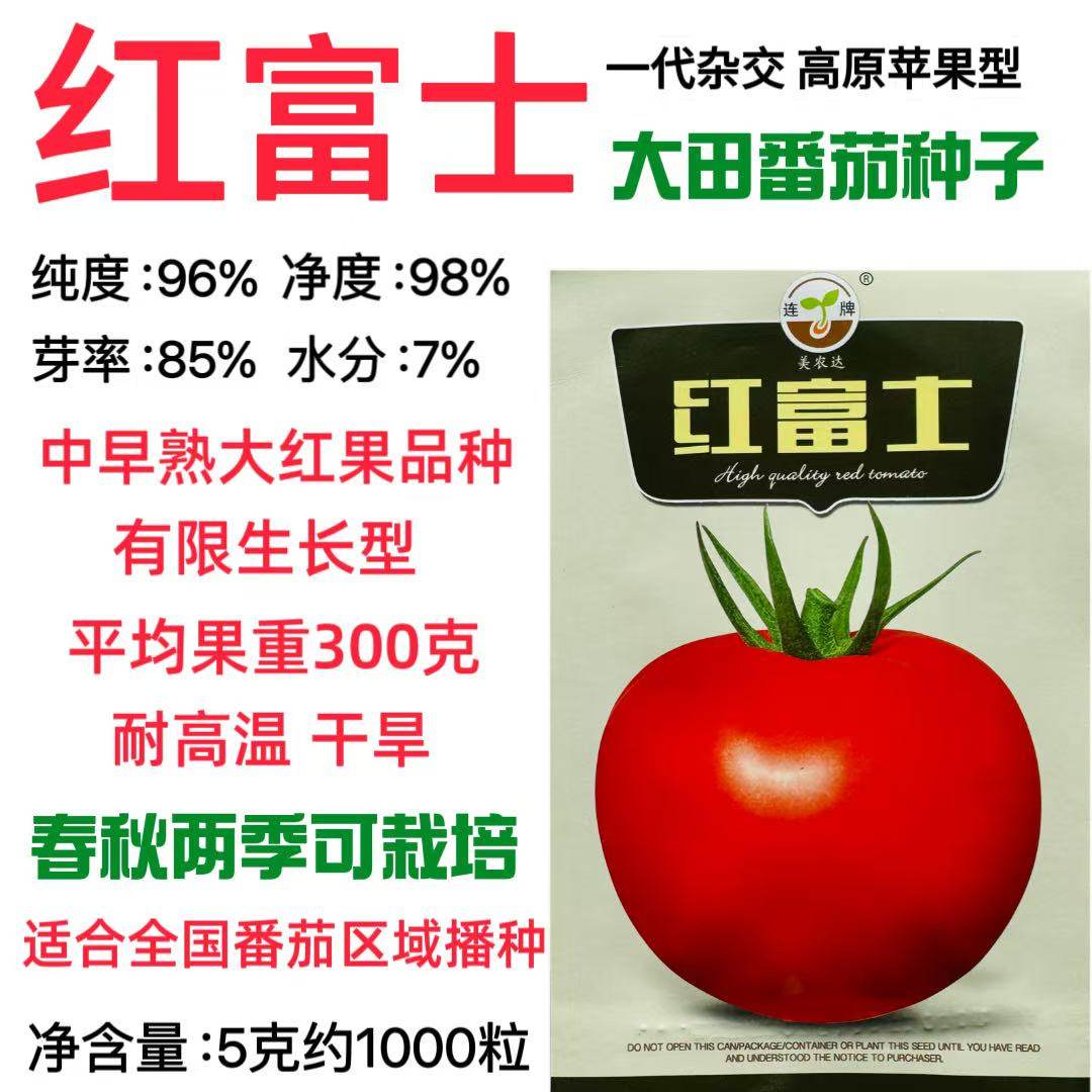 红富士大红番茄种子一代交配大果型早熟抗病果皮厚耐运输西红柿种
