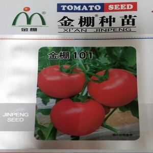 金棚M7粉红番茄种子无限生长高圆硬果西红柿种籽抗裂抗病强高产