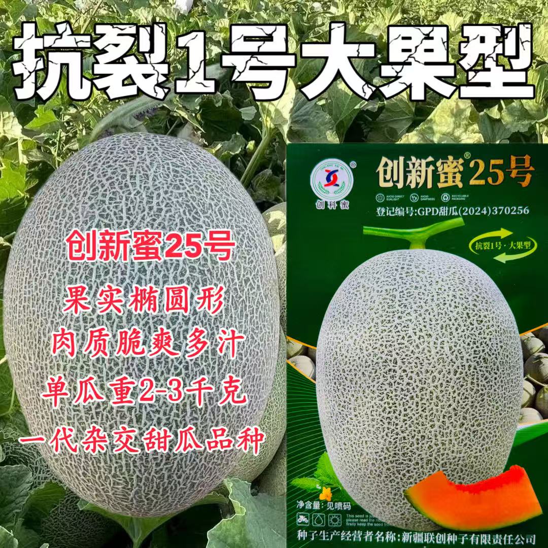 创新蜜25号杂交一代网纹甜瓜种子脆爽多汁大果哈密瓜种籽孑200粒