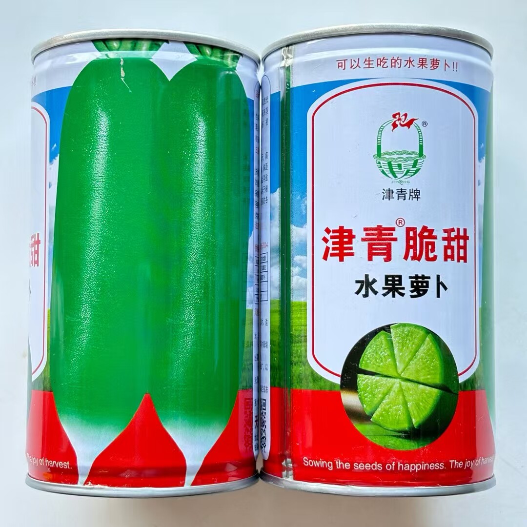 津青脆甜水果萝卜种子杂交鲜食萝卜种子绿皮绿肉口感脆甜秋季种植