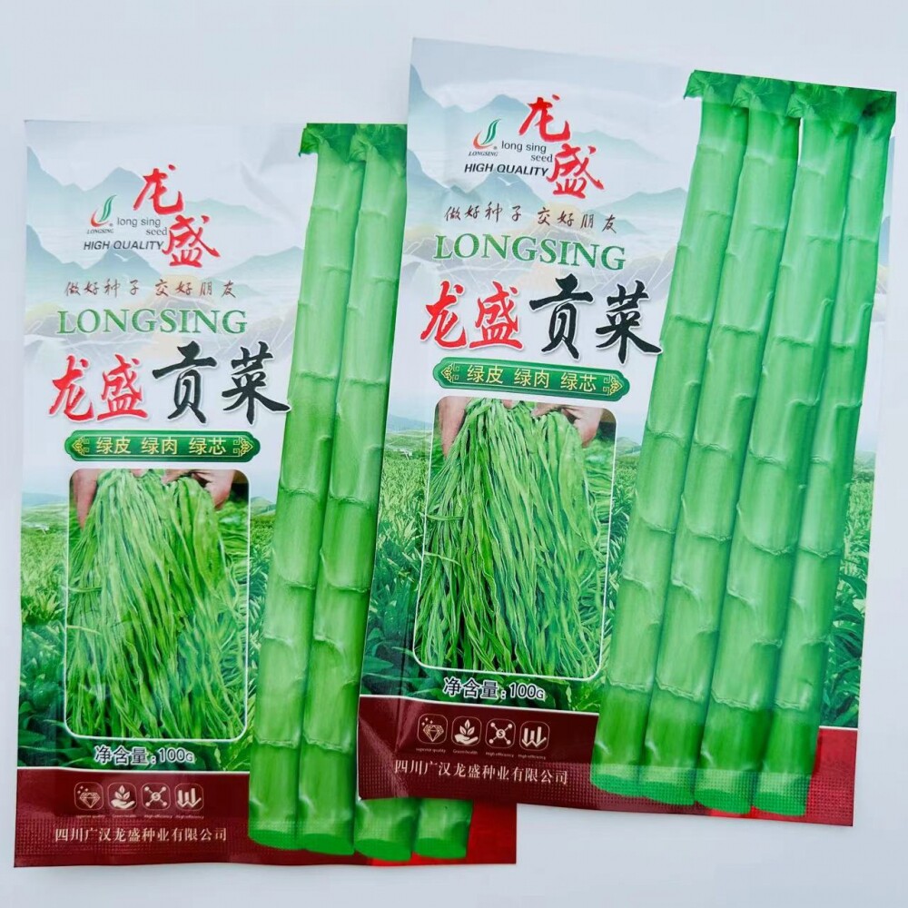 云南笋菜种子皇家贡菜种子响菜苔