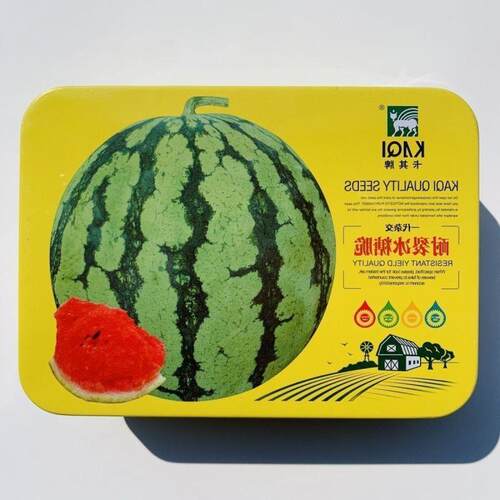 卡其耐裂冰糖脆西瓜种子早