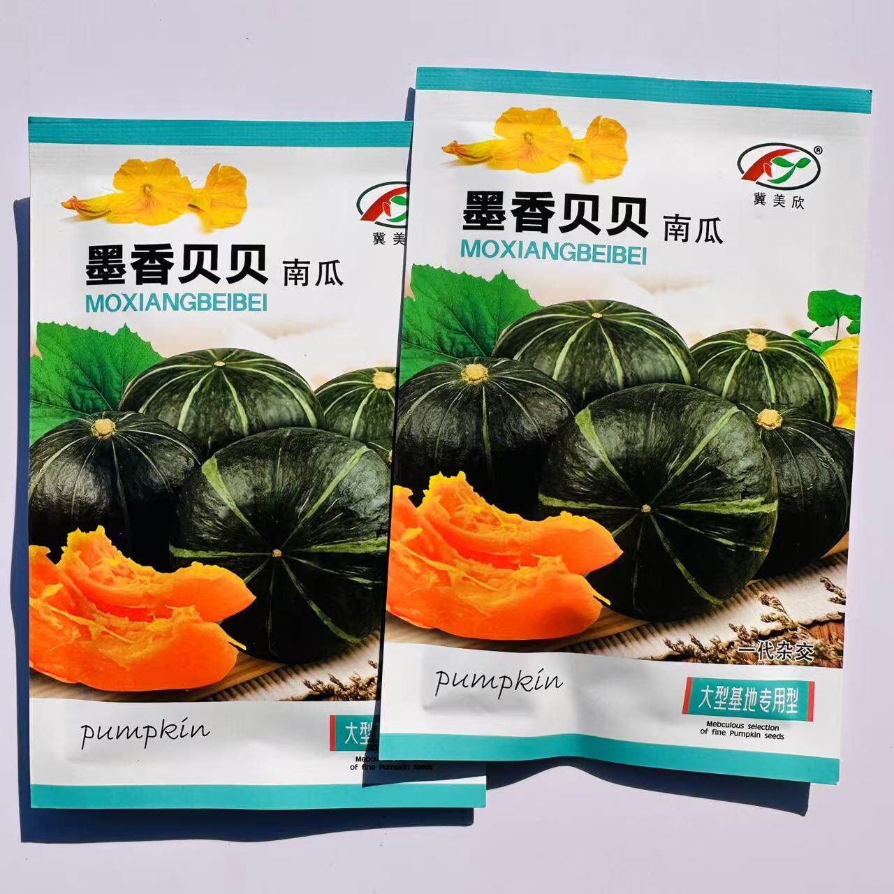 墨香贝贝南瓜种子大贝贝南瓜种孑甜面粉糯香味足南瓜种籽基地专用