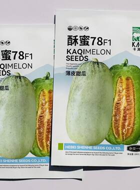 卡其酥蜜78杂交薄皮甜瓜种子短棒型果皮灰白绿色肉厚腔小酥脆香甜