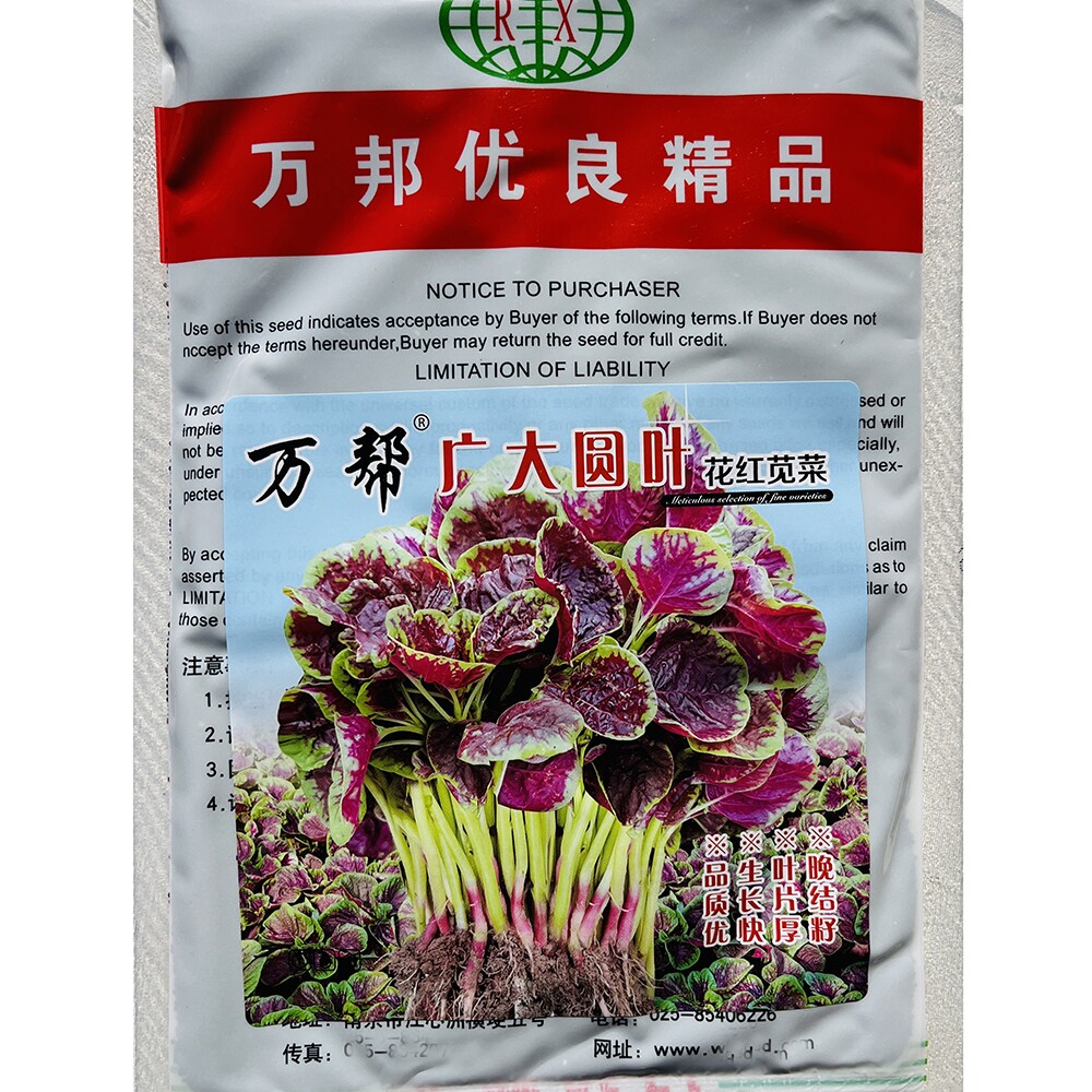 万邦广大圆叶红苋菜种子籽耐低温早熟圆叶红苋菜厚肉春秋农田高产