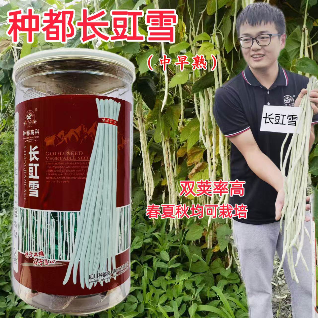 特长白豆角种籽四季春季夏季耐热秋季蔬菜长豇雪架豆长白豇豆种子