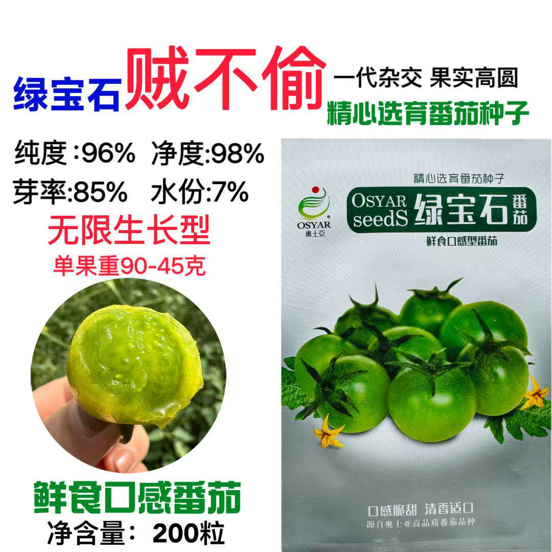奥士亚 绿宝石小番茄种子高糖口感型绿色贼不偷小樱桃西红柿种籽