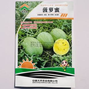 【原装正品】西瓜种子菠萝蜜二代黄心绿皮瓜农放心黄瓤西瓜种