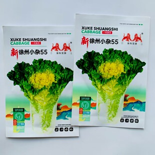 新徐州双杂55大白菜种子乳黄色早熟耐热大白菜种子高产好吃白菜