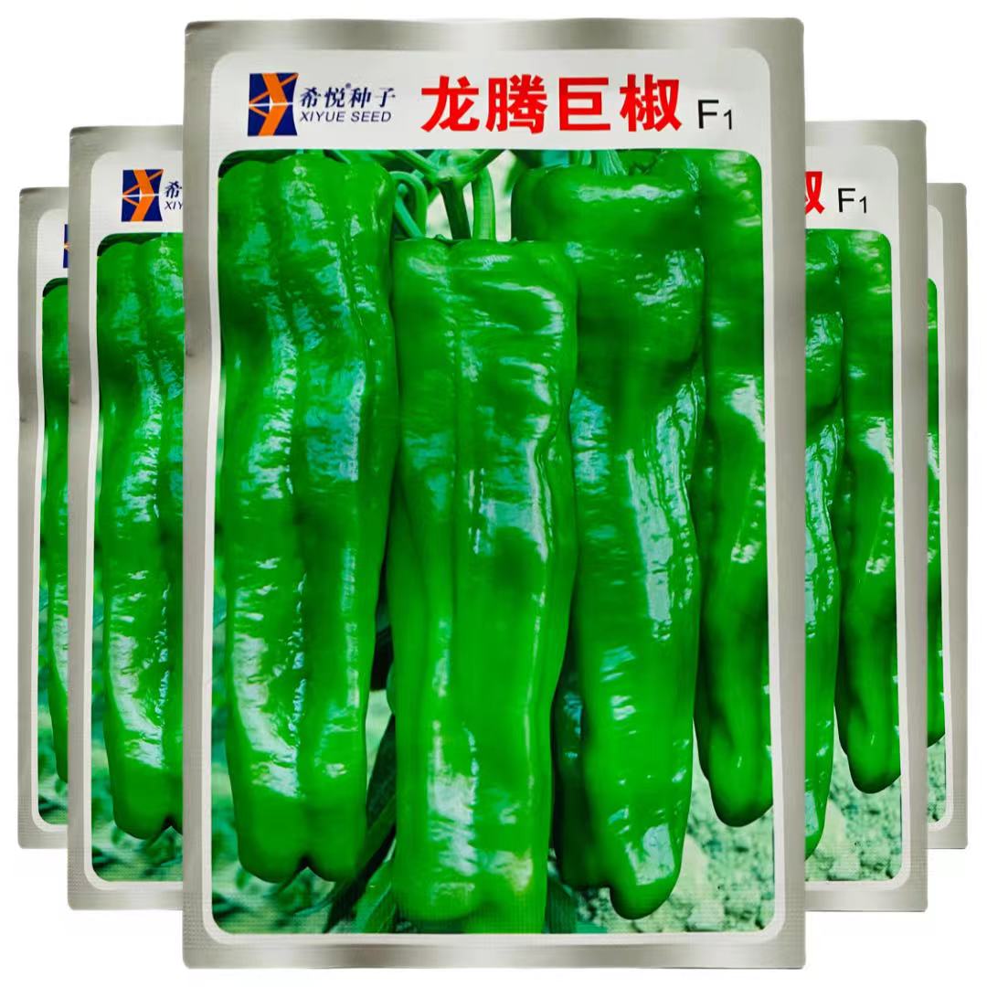 龙腾巨椒辣椒种子好吃特优质大果超高产薄皮青椒香辣四季阳台盆栽