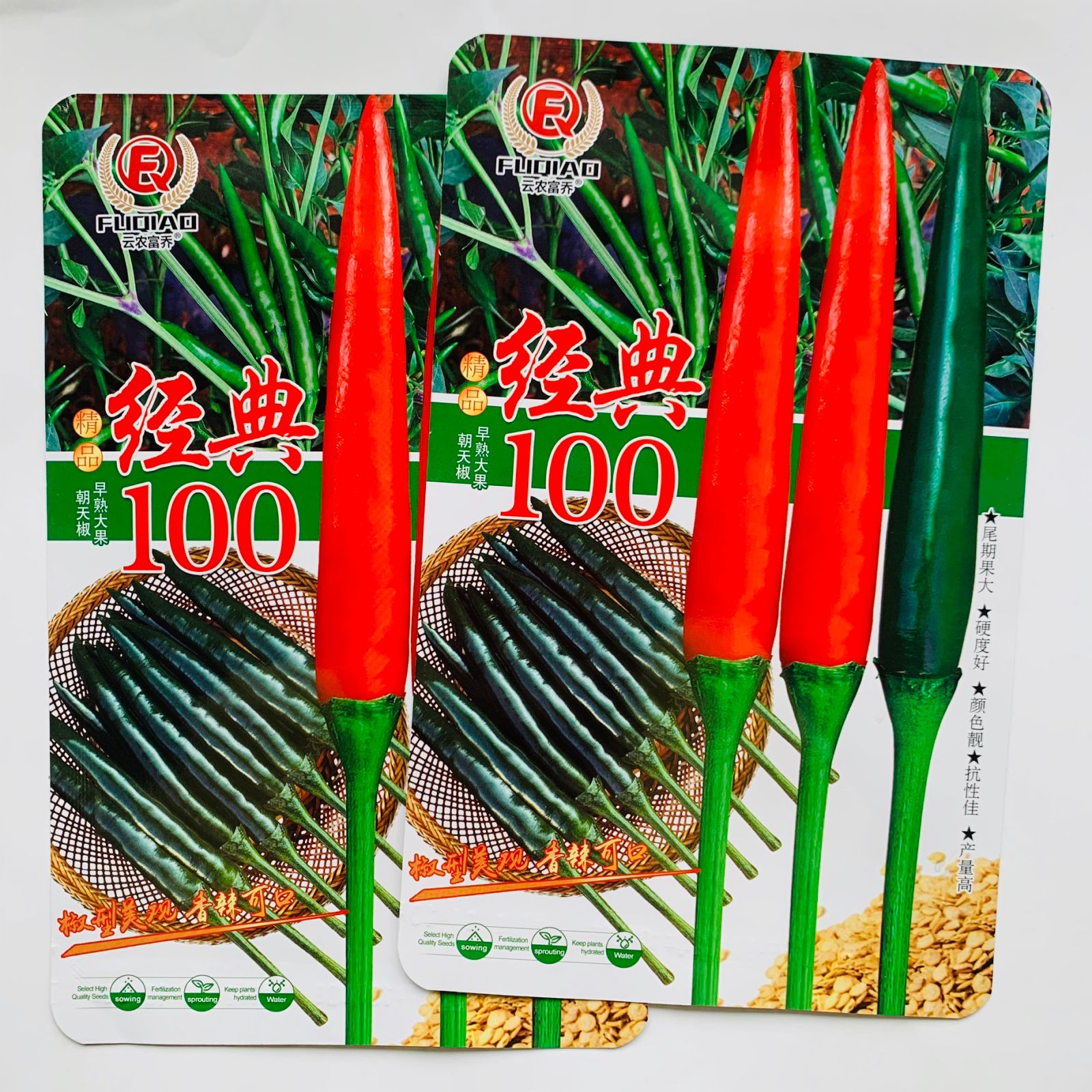 经典100朝天椒种子油亮香辣早熟大果朝天椒种籽子青红两用硬度好