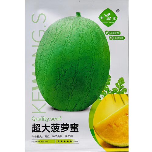西瓜种子大果菠萝蜜礼品黄心西瓜种子 黄壤西瓜种籽 小果型糖度高
