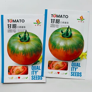 甘甜口感番茄种子早熟无限生长型大果草莓番茄甜度高硬度好产量高
