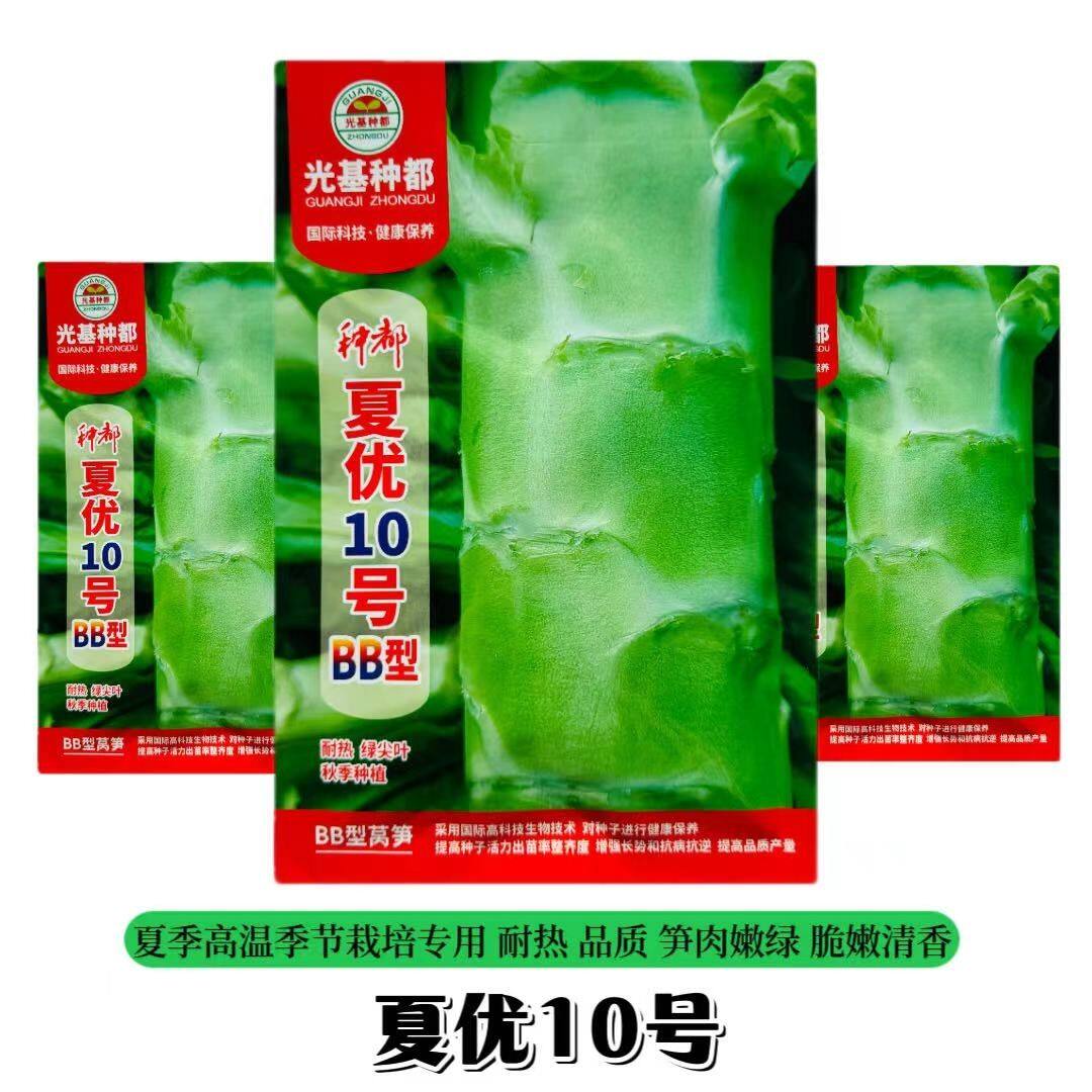 种都夏优10号BB型莴笋种子绿尖叶粗棒高产耐热青肉莴苣佳夏秋播种