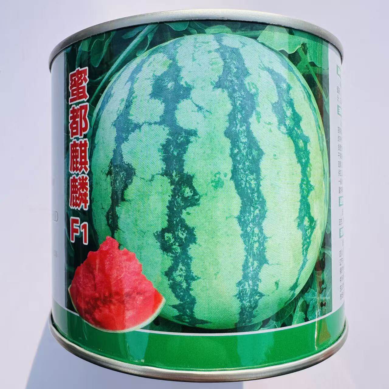 蜜都麒麟早熟一代杂交西瓜种子果实圆形果肉粉红色皮薄且脆西瓜籽