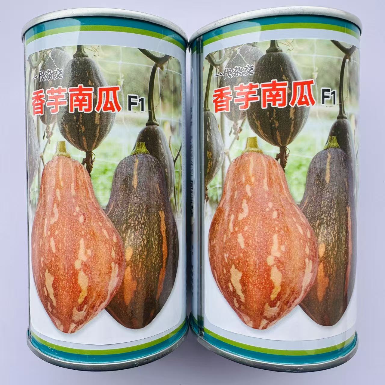 一代杂交香芋南瓜种子味甜肉厚有香芋味南瓜种籽软糯香甜基地专用
