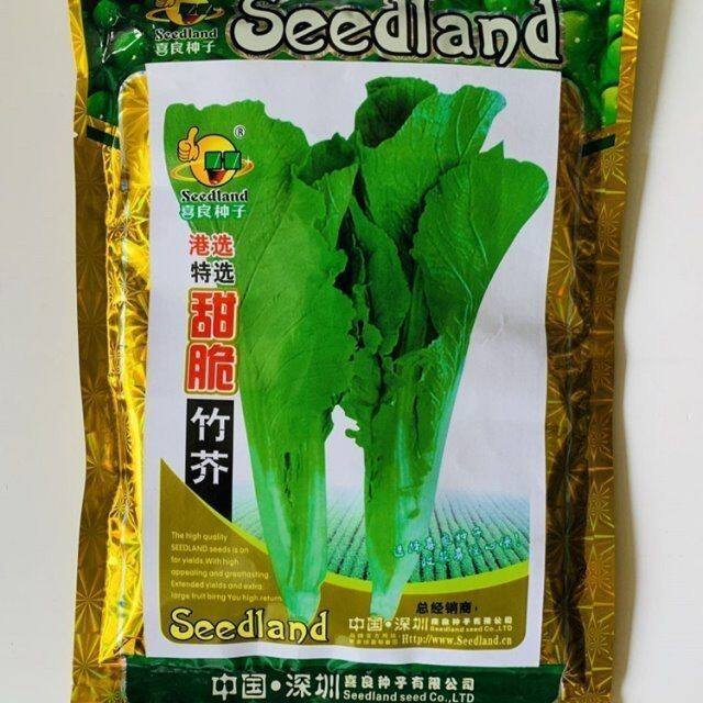 芥菜种子甜脆竹芥菜高产抗病耐热耐雨梗宽甜四季播优质芥菜蔬菜种