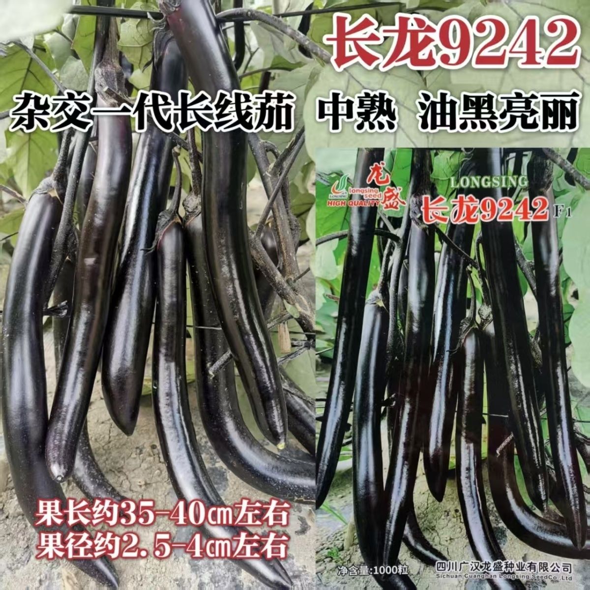 龙盛长龙9242中熟杂交长线茄种子紫萼长条油黑肉质细腻春秋种植