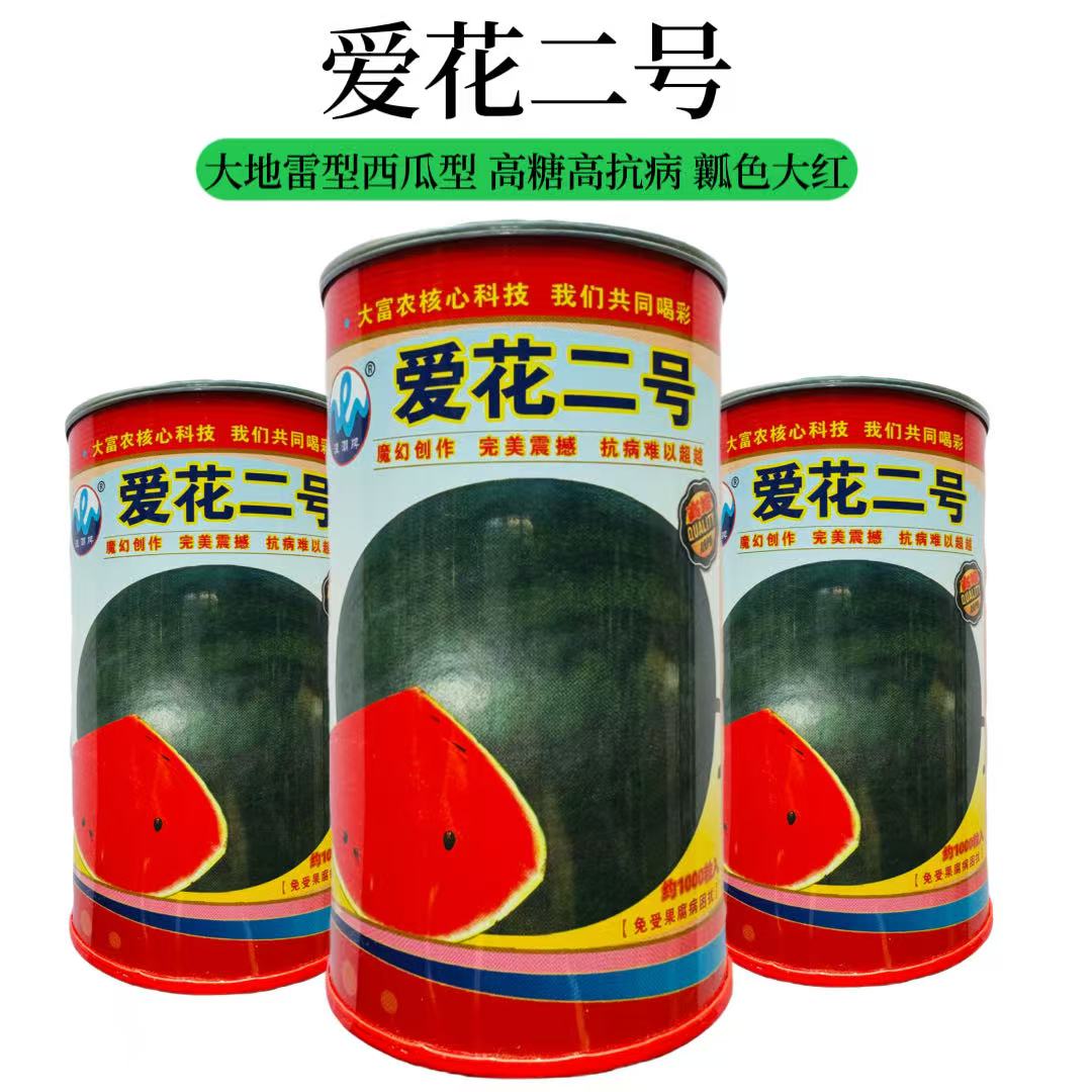 爱花2号西瓜种子爱花二号大西瓜种籽巨型超大西瓜种子大面积种植