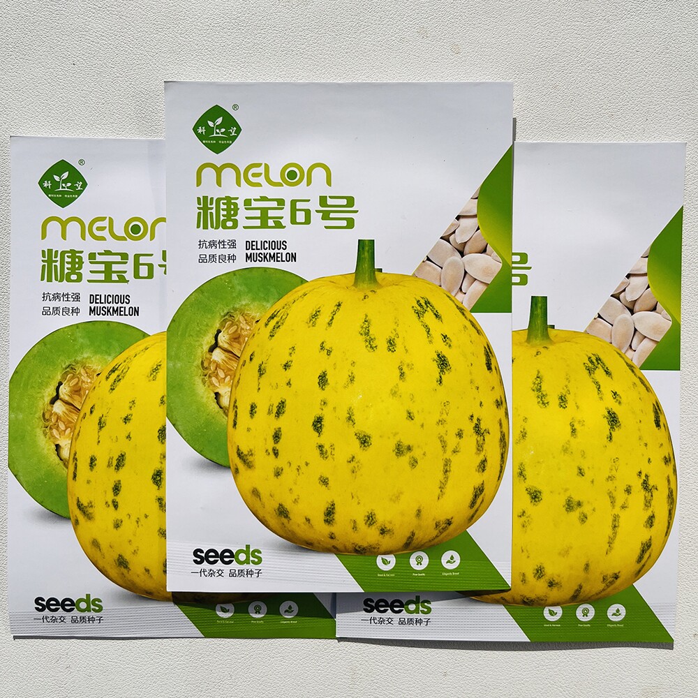 科乐糖宝6号八里香甜瓜种子 薄皮浓香高糖早熟高产商品性佳春夏播