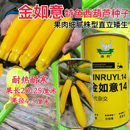 金如意14葫芦种子黄金瓜香蕉西葫瓜种子盆栽阳台生吃水果葫芦瓜籽