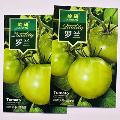 罗兰绿番茄种子阿卡莎苹果柿子绿色西红柿种子贼不偷番茄种籽超甜