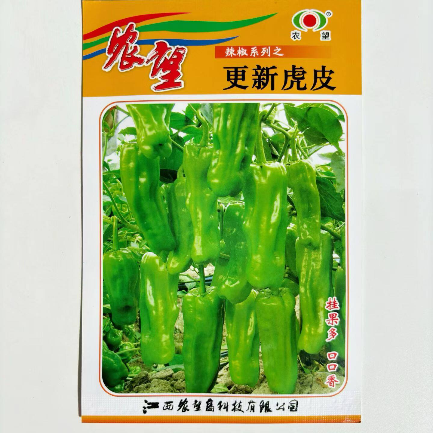 农望更新虎皮辣椒种子杂交泡椒种籽马嘴椒小灯笼形皱皮味辣高产